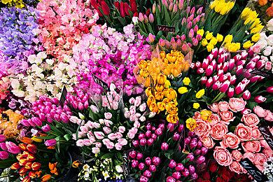 SNK新作格斗游戏《饿狼传说：群狼之城》亚洲区实体版开始预约