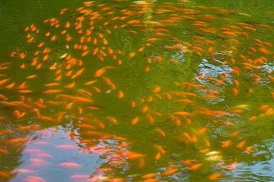 8月14日即将推出的深海像素解谜《凡尔纳：幻想之形》将带您穿越儒勒·凡尔纳的想象世界！